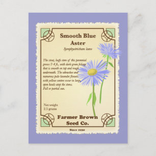 Blue Aster Seed Packet Postkarte