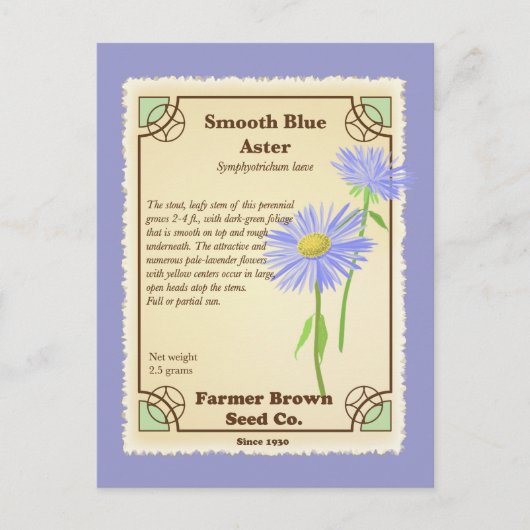 Blue Aster Seed Packet Postkarte (Vorderseite)
