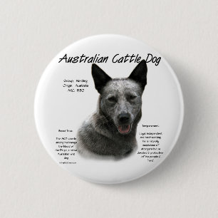 Blue Australian Cattle Dog History; Blue ACD Button