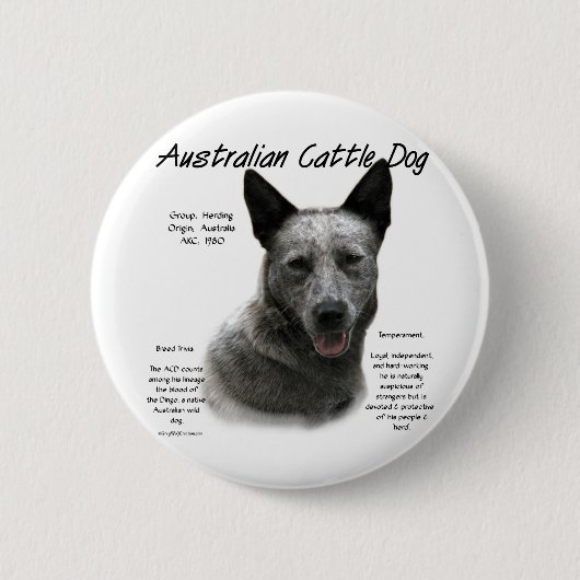 Blue Australian Cattle Dog History; Blue ACD Button (Vorderseite)