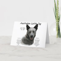 Blue Australian Cattle Dog History; Blue ACD