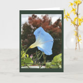 Blue Autumn Morning Glory Blank Karte (Gelbe Blume)