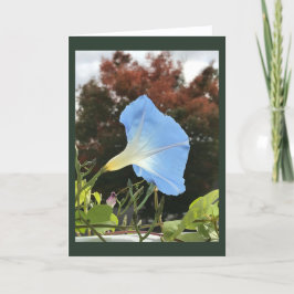 Blue Autumn Morning Glory Blank Karte