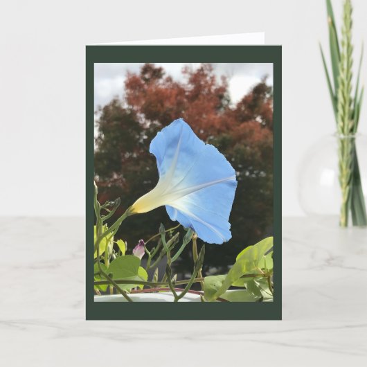 Blue Autumn Morning Glory Blank Karte (Vorderseite)