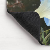 Blue Autumn Morning Glory Close-up  Mousepad (Ecke)