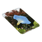 Blue Autumn Morning Glory  Magnet (Rechte Seite)