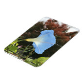 Blue Autumn Morning Glory  Magnet (Linke Seite)