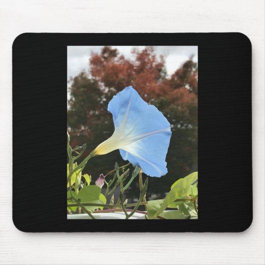 Blue Autumn Morning Glory Mousepad (Vorne)