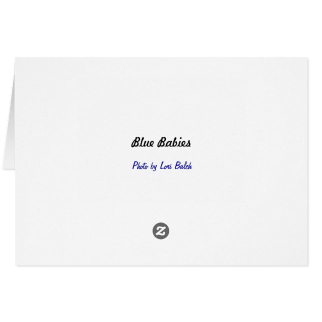 Blue Babys (Rückseite Horizontal)