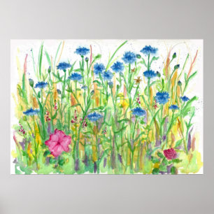 Blue Bachelor Button Cornflower Wasserfarbe Kunst Poster