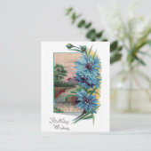 Blue Bachelor's Buttons Geburtstag Postkarte (Stehend Vorderseite)