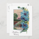 Blue Bachelor's Buttons Geburtstag Postkarte (Vorne/Hinten)