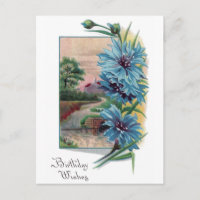 Blue Bachelor's Buttons Geburtstag