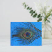 Blue Background Peacock Feather Postkarte (Stehend Vorderseite)