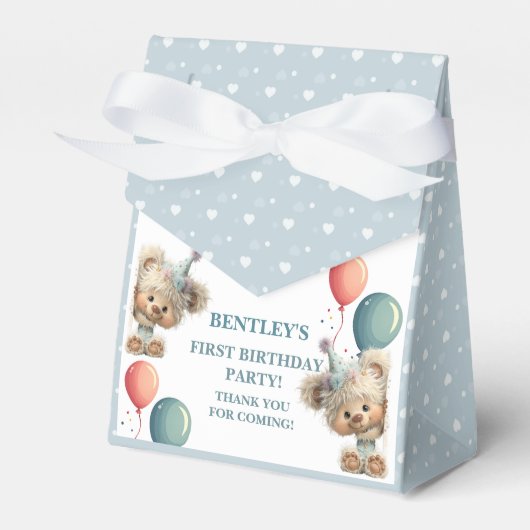 Blue Balloon Hedgehogs Celebration Geschenkschachtel (Vorderseite)