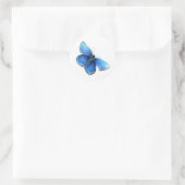Blue Bartfly Eden Logo Aquarellkleber Runder Aufkleber (Tasche)