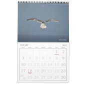 Blue Beach Song™ Fotografie Kalender (Jan 2027)