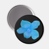 Blue Begonia Magnet (Vorderseite/Rückseite)