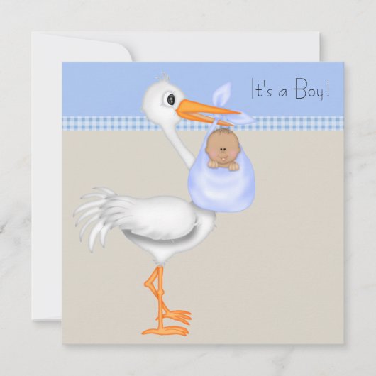 Blue Beige Gingham Stork Baby Boy Dusche Einladung (Vorderseite)