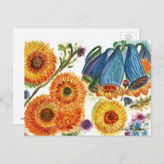 Blue Bell Zinnia Blume Postcard2 Postkarte (Vorne/Hinten)