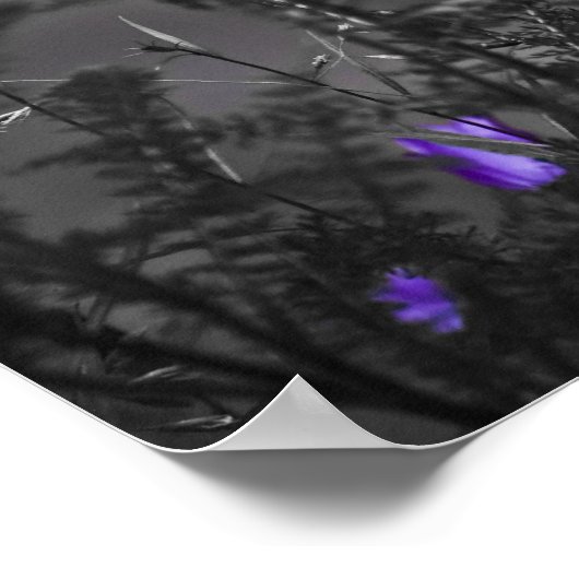 Blue Bells Mugshot Print Poster (Ecke)