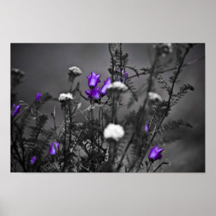Blue Bells Mugshot Print Poster