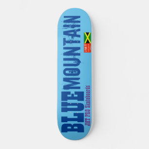 BLUE BERGSKATEBOARTEN / JMT SKATEBOARD