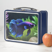 Blue Beta Fish Metall Brotdose (Beispiel)