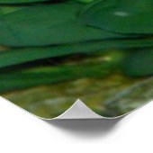 Blue Betta Fisch Print oder Poster (Ecke)