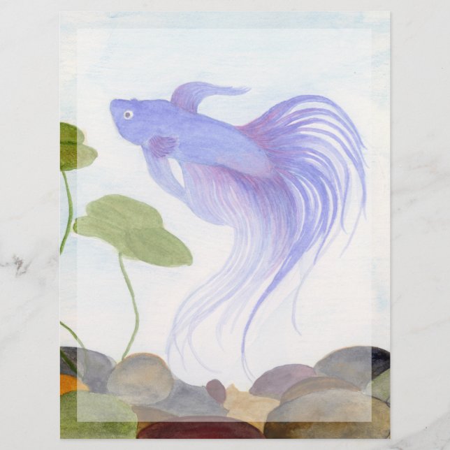 Blue Betta Fish (Vorderseite)