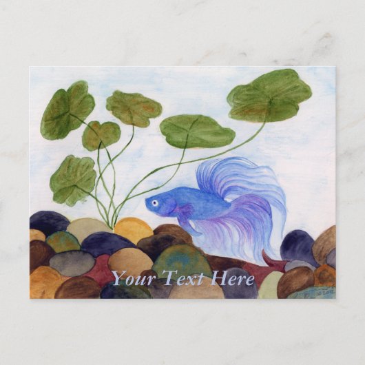 Blue Betta Fish Postcard Postkarte (Vorderseite)