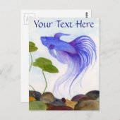 Blue Betta Fish Postkarte (Vorne/Hinten)