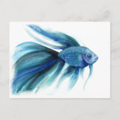 Blue Betta Fish Postkarte (Vorderseite)