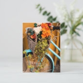 Blue Bicycle Basket Postkarte (Stehend Vorderseite)