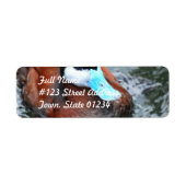 Blue Billed Duck Mailing Label (Vorne)