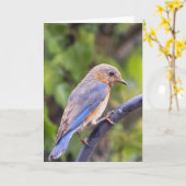 Blue Bird Blank Note Card Karte (Gelbe Blume)