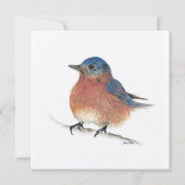 Blue Bird Card Karte (Vorderseite)