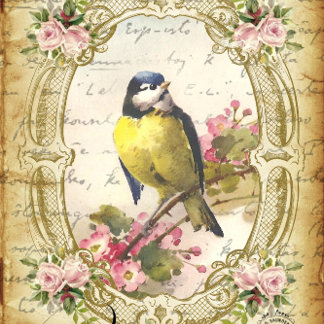 Blue Bird & Cherry Blossom Antiquitätenpapier Seidenpapier