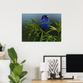 Blue Bird Foto Nature Wall Poster (Heimbüro)