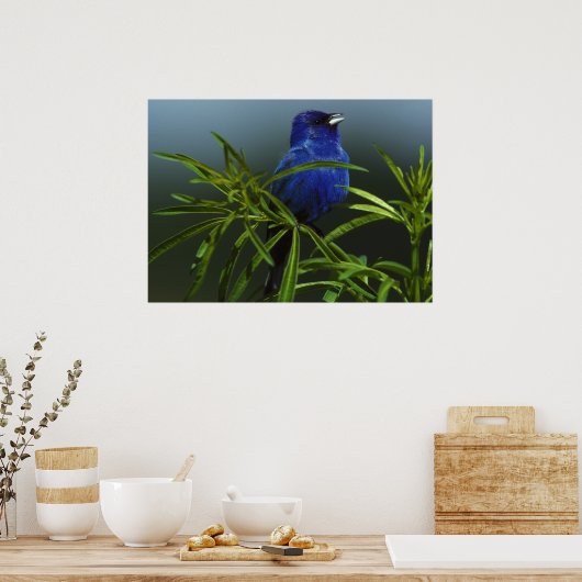 Blue Bird Foto Nature Wall Poster (Küche)