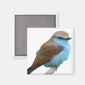 BLUE BIRD MAGNET (Vorderseite/Rückseite)