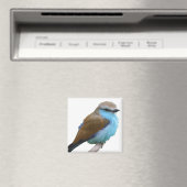 BLUE BIRD MAGNET (In Situ (Geschirrspüler))
