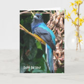 Blue Bird mit Long Schwanz Geburtstag Gruß Karte (Gelbe Blume)