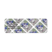 BLUE BIRD OF PARADISIS RÜCKSENDEADRESSE (Vorne)