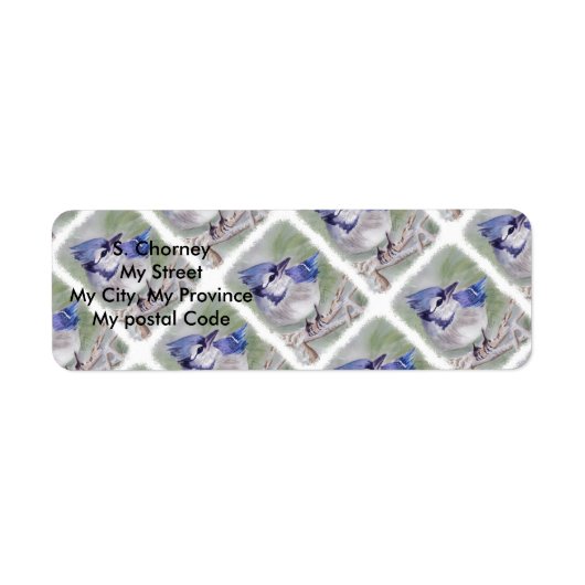 BLUE BIRD OF PARADISIS RÜCKSENDEADRESSE (Vorne)