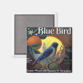 Blue Bird Orange Crate Label Magnet (Vorderseite/Rückseite)