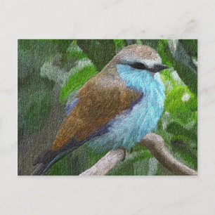 Blue Bird Postcard Postkarte