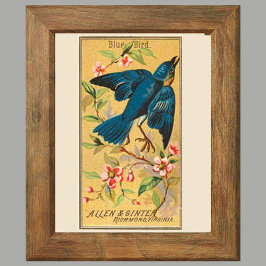 Blue Bird, Set von 8 (2 von 8) Bird Gallery Wall Poster