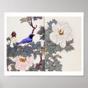 Blue Bird und Peony, Imao Keinen Poster