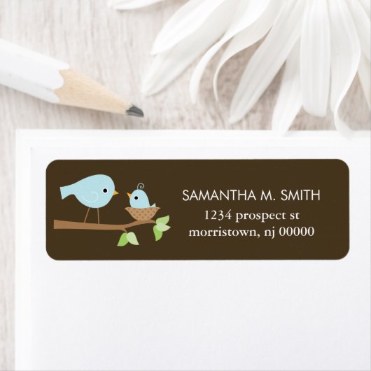 Blue Birds Nest Baby Dusche (Insitu)